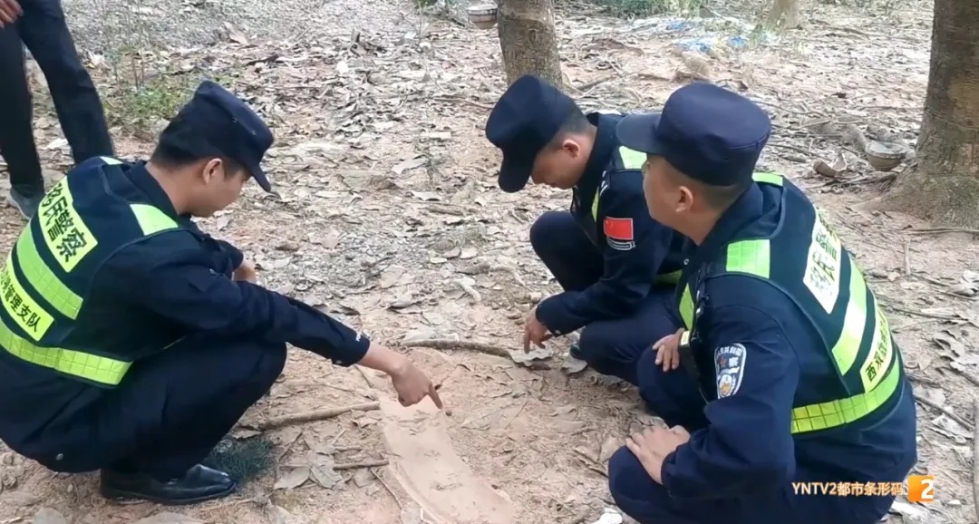 惊!三米长鳄鱼咬破铁笼出逃,警方高效搜捕果断击毙 惊!三米长鳄鱼咬破铁笼出逃,警方高效搜捕果断击毙