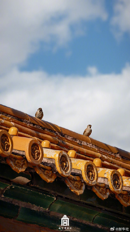 收藏！故宫深冬氛围感壁纸