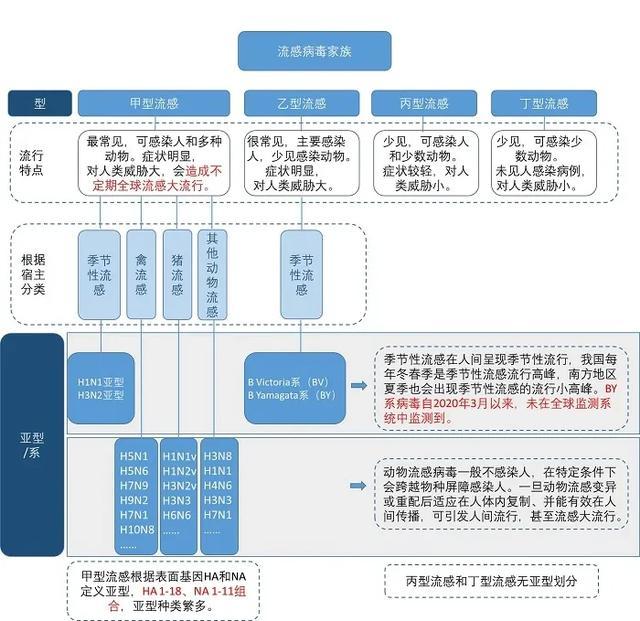 关于流感，这些误区你还不知道？