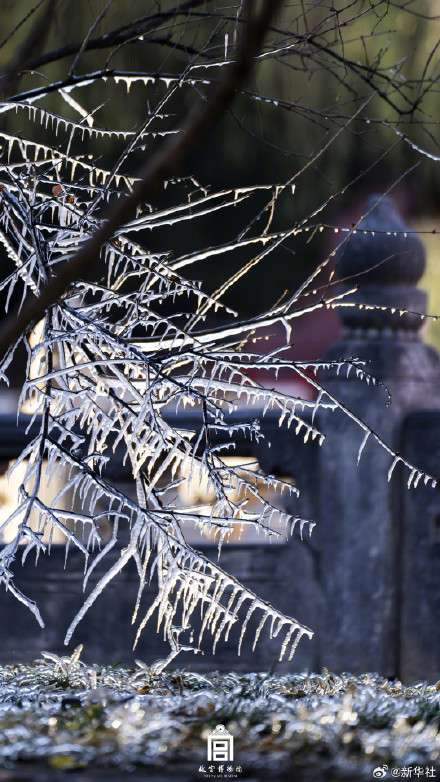 收藏！故宫深冬氛围感壁纸