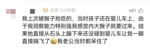 猴子抢包，遭游客"胖揍"！景区回应→