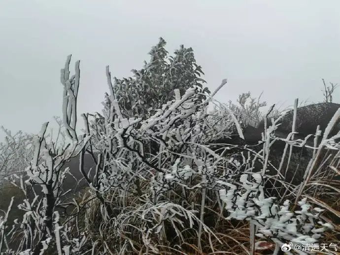 清远挂冰了 广州气温将继续降 清远挂冰了 广州气温将继续降