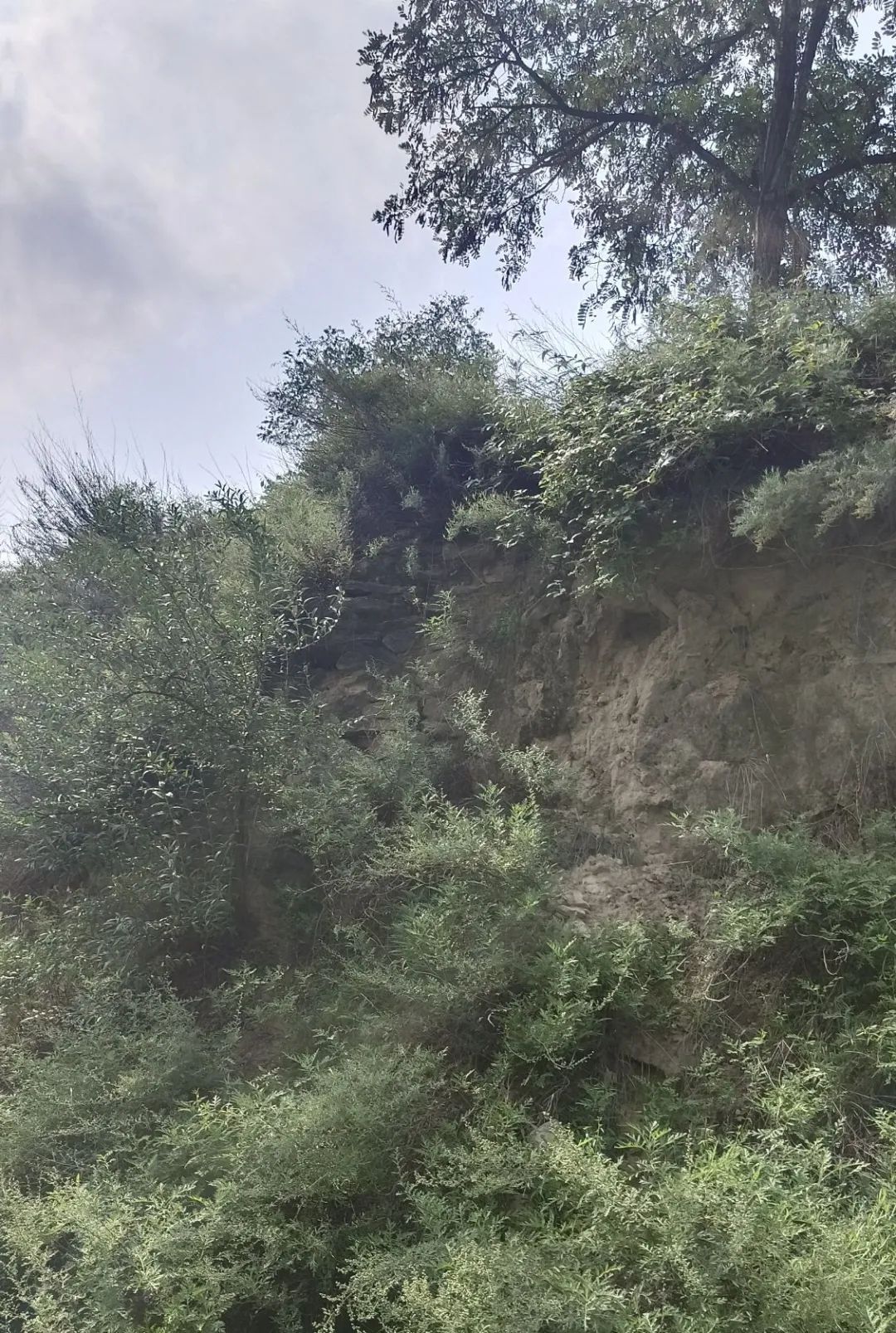 陕西又发现一座龙山时代早期大型石城遗址！距今4500年