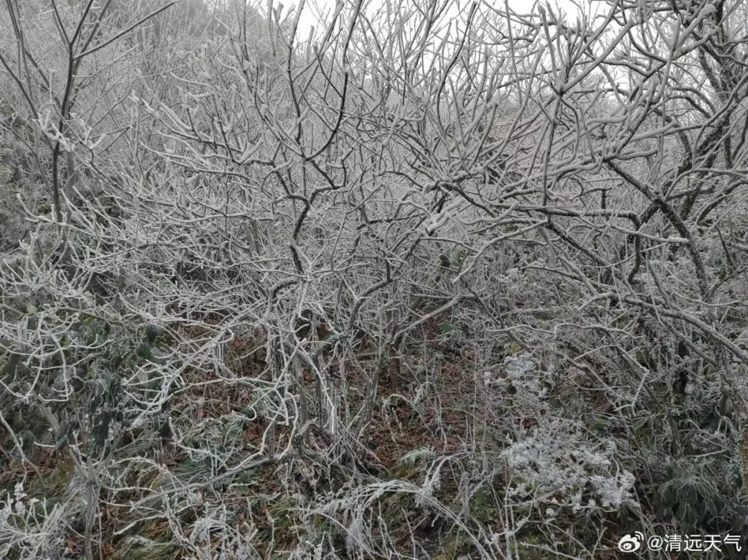 清远挂冰了 广州气温将继续降 清远挂冰了 广州气温将继续降