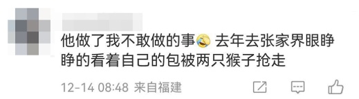 猴子抢包，遭游客"胖揍"！景区回应→