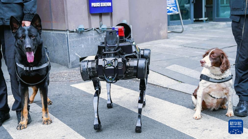 四川成都：智能巡防新亮点 警用机器狗上岗巡逻