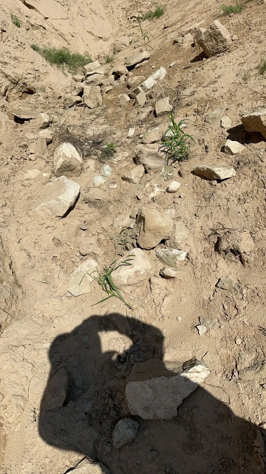 陕西又发现一座龙山时代早期大型石城遗址！距今4500年