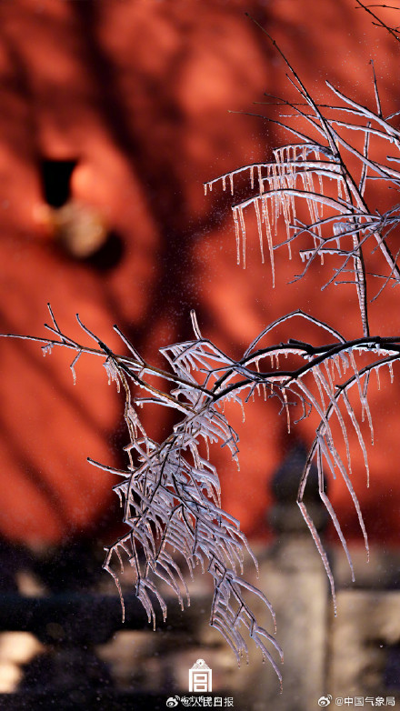 故宫冬日限定壁纸上新了！快来收藏！