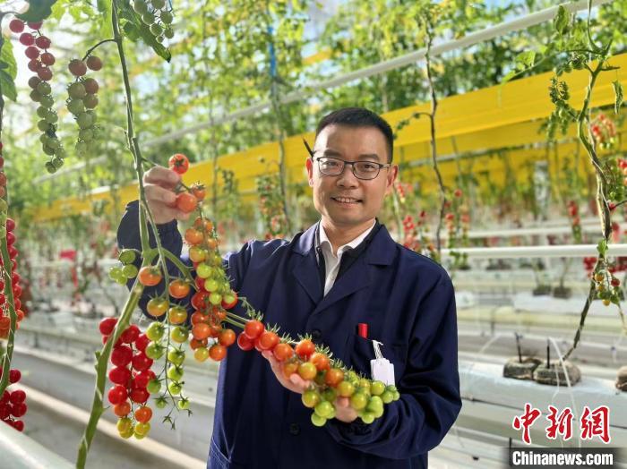 环境智能，高产稳产！中国科学家新成果开启作物育种新时代