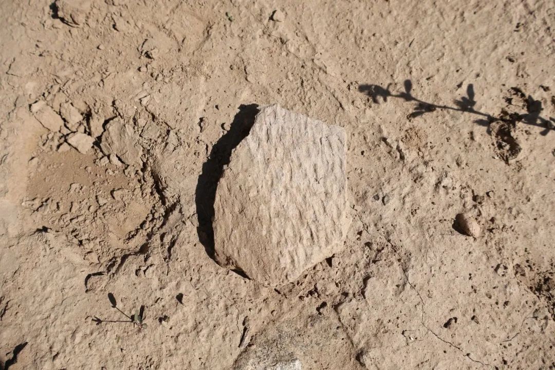 陕西又发现一座龙山时代早期大型石城遗址！距今4500年