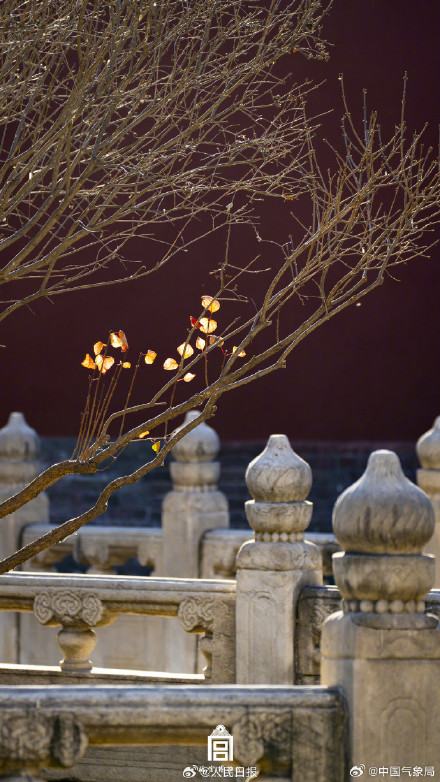 故宫冬日限定壁纸上新了！快来收藏！