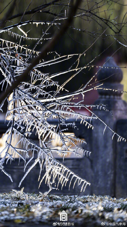 故宫冬日限定壁纸上新了！快来收藏！