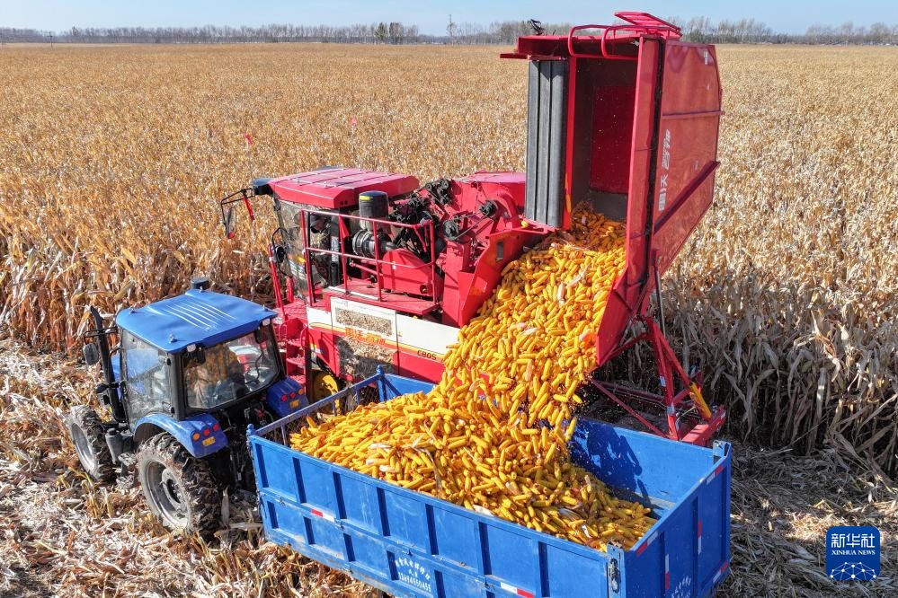 “北大仓”粮食产量连续15年全国居首 首次突破1600亿斤