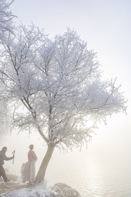 收藏美景！吉林五星级雾凇一键开启仙境模式