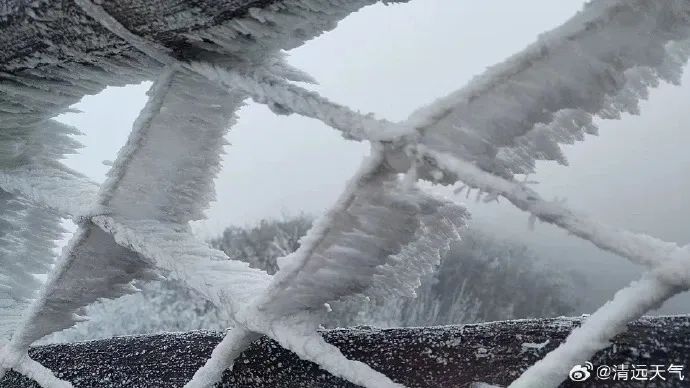 广东挂冰了！深圳跌破10&deg;C，“小冰人”正式上线