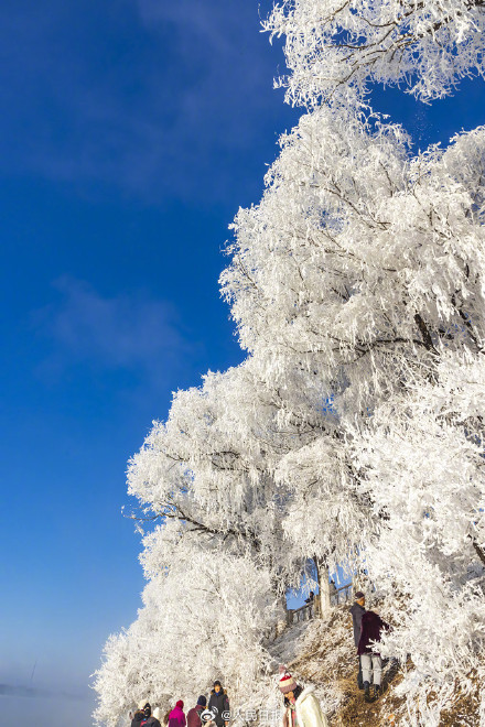 收藏美景！吉林五星级雾凇一键开启仙境模式