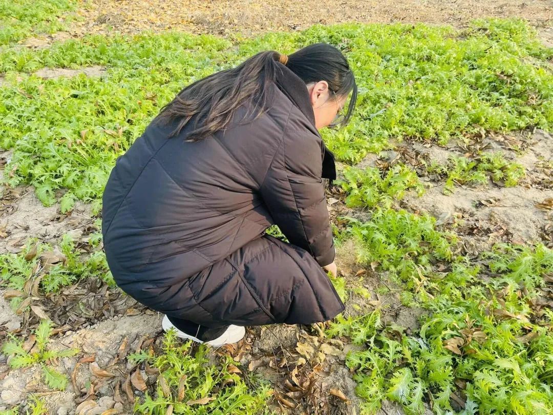 刚刚拍下！阜阳坝埂、田间忽然来了一批人！ 在干啥？