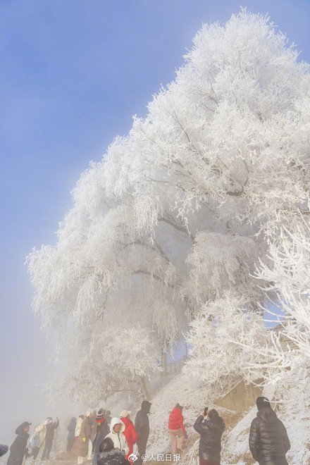 收藏美景！吉林五星级雾凇一键开启仙境模式