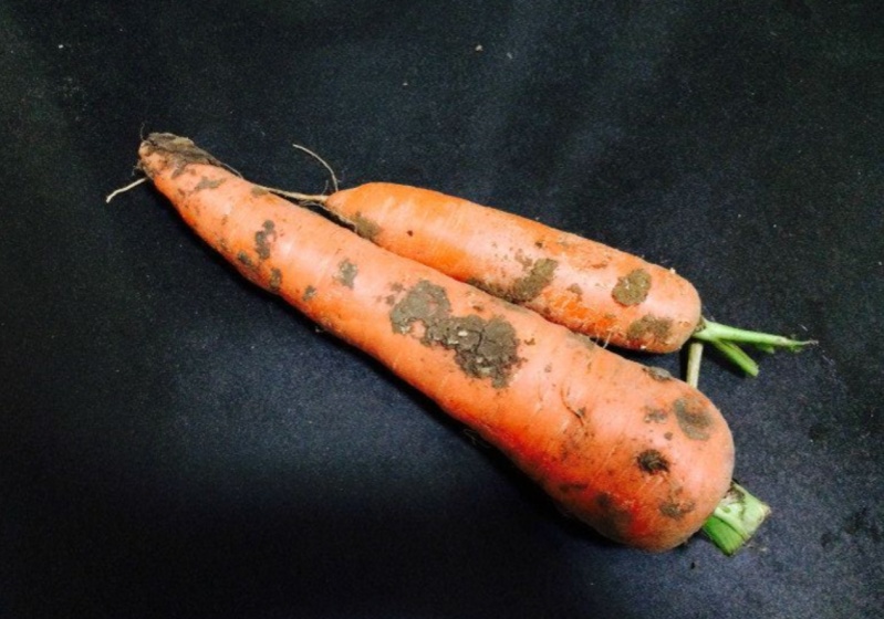 平时爱吃这类食物的人赚到了！这种天然成分抗衰老！