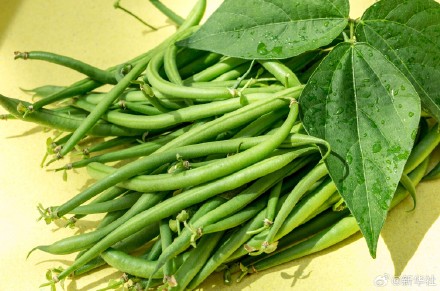 转发!7种食物要焯水后再吃 转发!7种食物要焯水后再吃