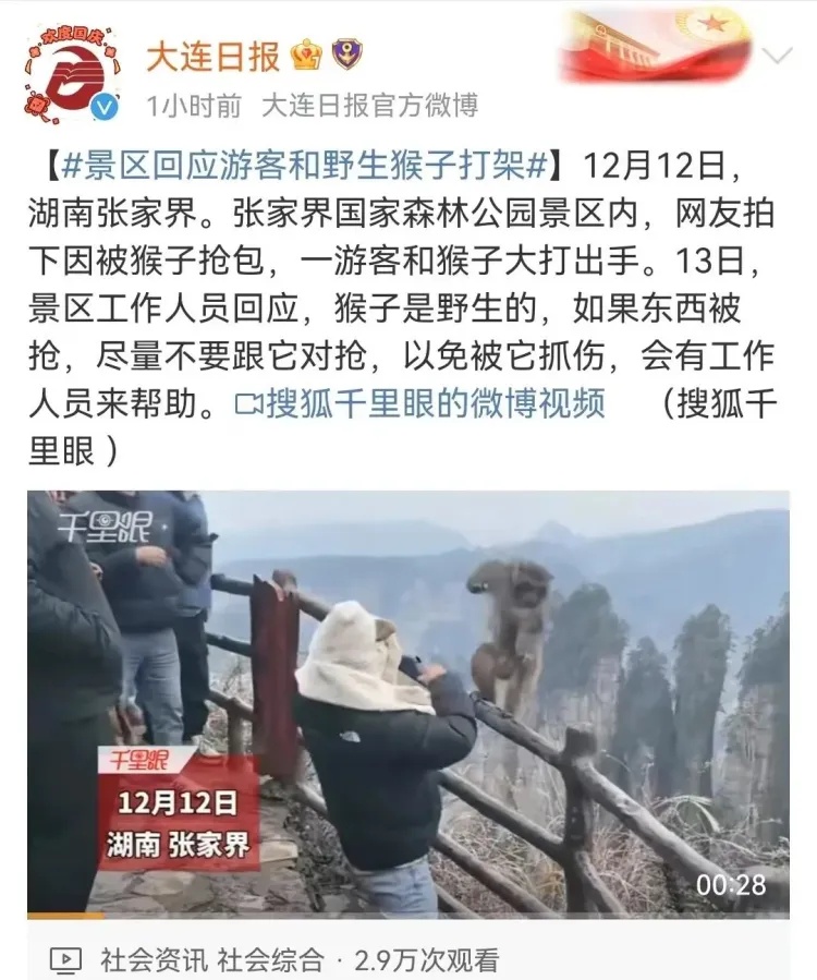 猴子抢包，遭游客“胖揍”！景区回应