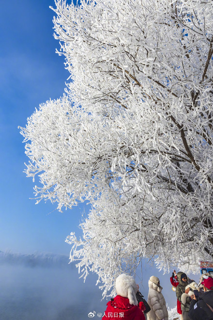 收藏美景！吉林五星级雾凇一键开启仙境模式