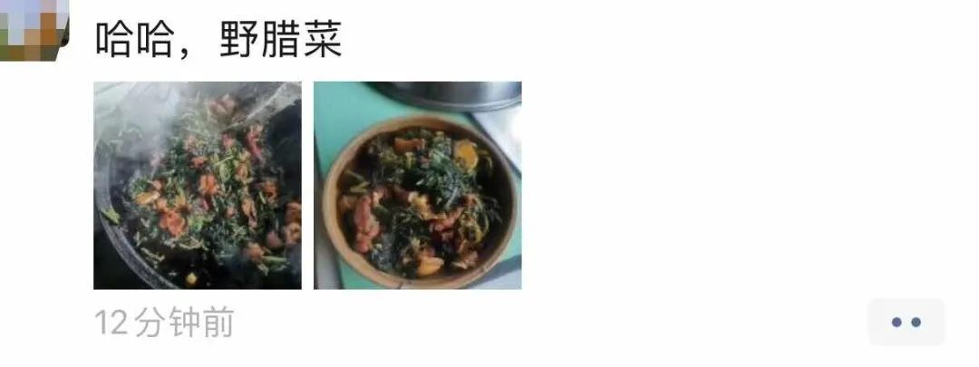 刚刚拍下！阜阳坝埂、田间忽然来了一批人！ 在干啥？