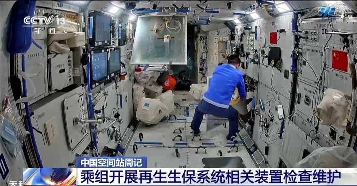 果蝇实验进展如何？“智能管家”有何妙用？来看神十九乘组周记