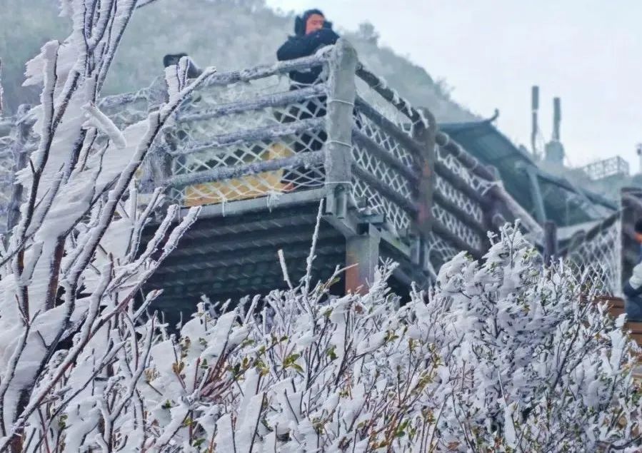 挂冰了!广东一地出现冰挂雾凇!这些区域将有5℃及以下低温...... 挂冰了!广东一地出现冰挂雾凇!这些区域将有5℃及以下低温......