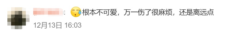 游客和猴子打起来了！知名景区回应