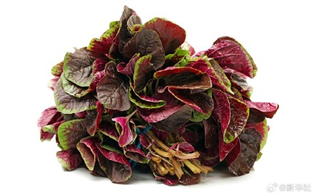 转发!7种食物要焯水后再吃 转发!7种食物要焯水后再吃