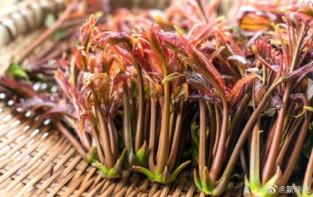 转发!7种食物要焯水后再吃 转发!7种食物要焯水后再吃