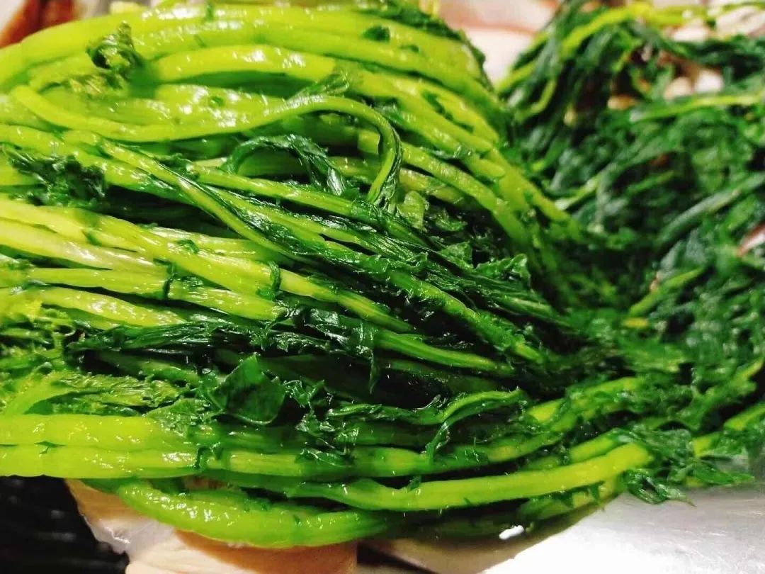 刚刚拍下！阜阳坝埂、田间忽然来了一批人！ 在干啥？