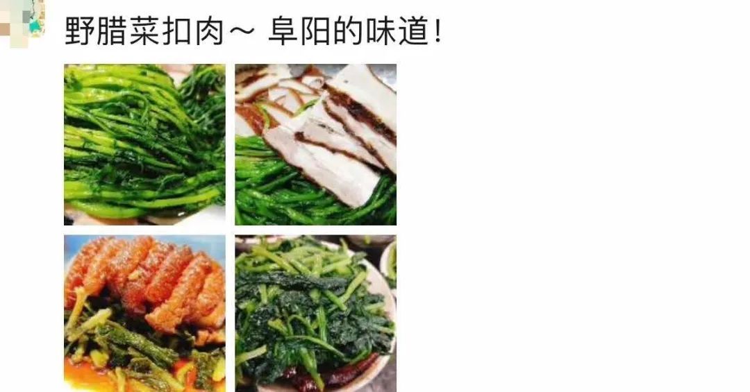 刚刚拍下！阜阳坝埂、田间忽然来了一批人！ 在干啥？