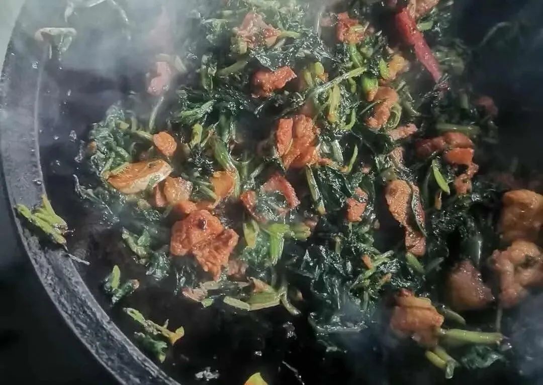 刚刚拍下！阜阳坝埂、田间忽然来了一批人！ 在干啥？