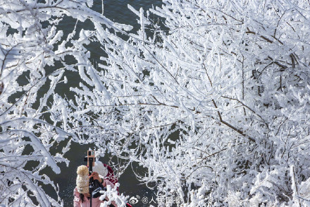收藏美景！吉林五星级雾凇一键开启仙境模式