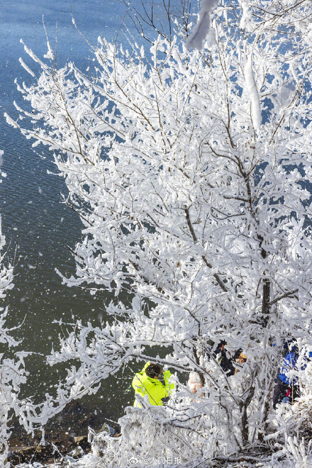 收藏美景！吉林五星级雾凇一键开启仙境模式