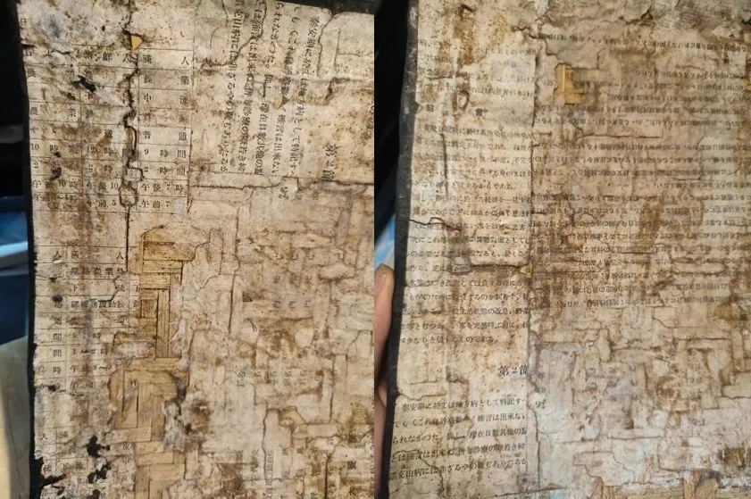 大学生买包,竟发现日军罪证!731部队罪证陈列馆回应→ 大学生买包,竟发现日军罪证!731部队罪证陈列馆回应→