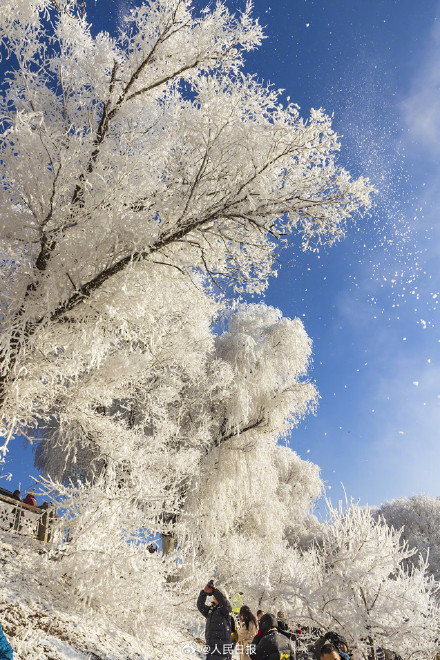 收藏美景！吉林五星级雾凇一键开启仙境模式