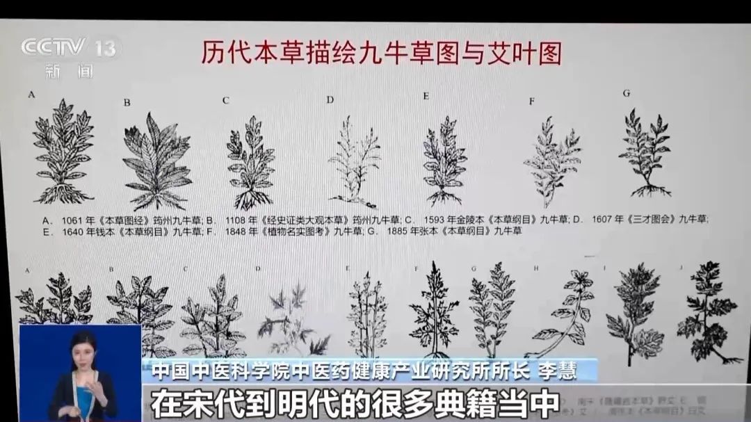 这些“宝藏”已摸清家底!网友:又一次被老祖宗的智慧折服→ 这些“宝藏”已摸清家底!网友:又一次被老祖宗的智慧折服→