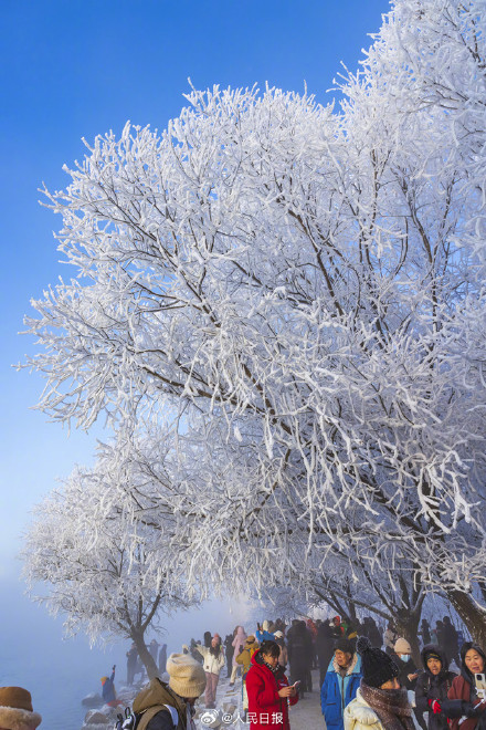 收藏美景！吉林五星级雾凇一键开启仙境模式
