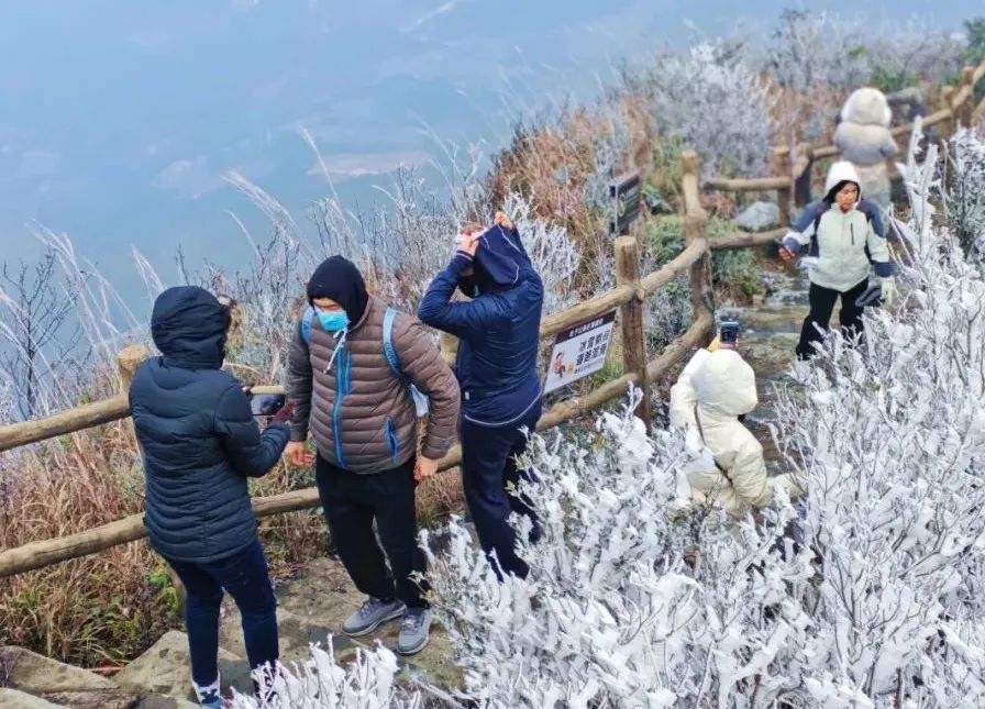 挂冰了!广东一地出现冰挂雾凇!这些区域将有5℃及以下低温...... 挂冰了!广东一地出现冰挂雾凇!这些区域将有5℃及以下低温......