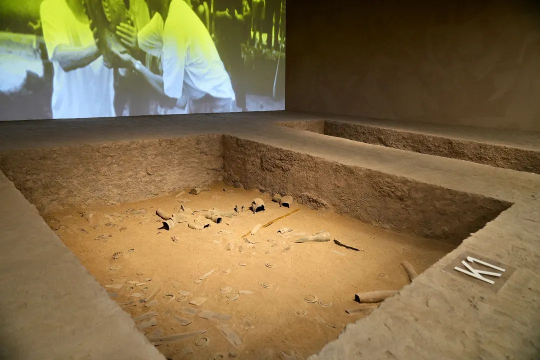 三星堆-金沙遗址考古多项成果集中披露→ 三星堆-金沙遗址考古多项成果集中披露→