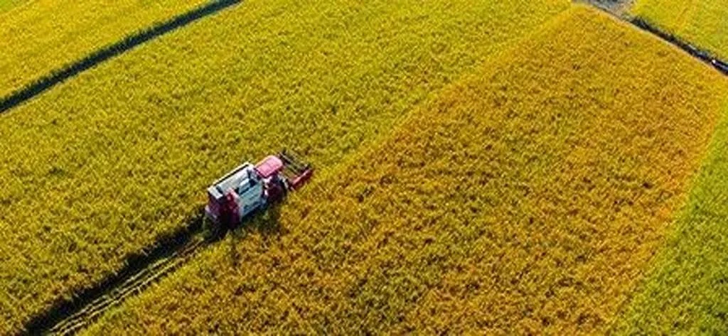 2024年陕西省粮食总产量1352.29万吨 2024年陕西省粮食总产量1352.29万吨