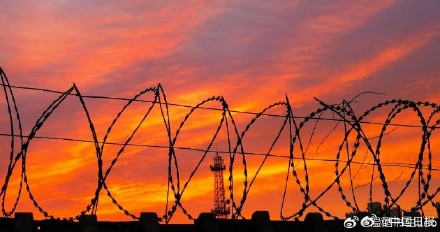 好美!被北京冬日朝霞治愈了 好美!被北京冬日朝霞治愈了