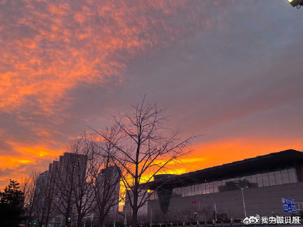 好美!被北京冬日朝霞治愈了 好美!被北京冬日朝霞治愈了