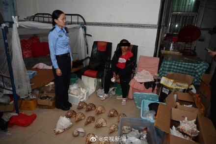 8人卖濒危野生动物制品被抓