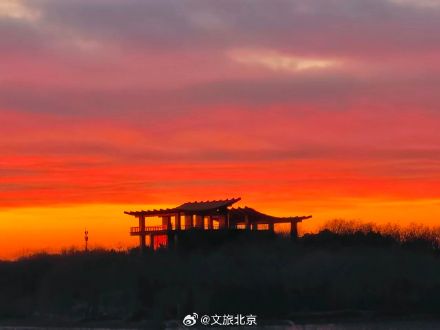 被今早的北京朝霞美到了！您看到了吗?