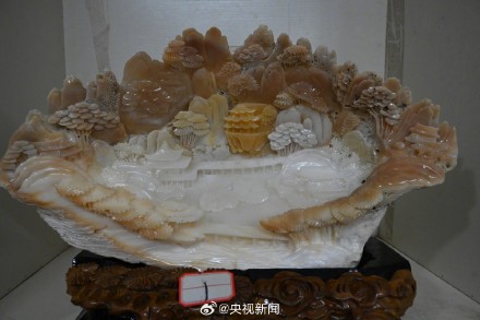 8人卖濒危野生动物制品被抓