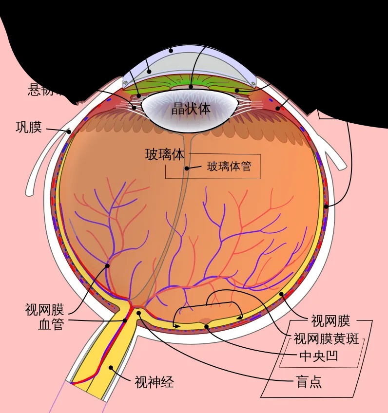 这种“写真”走红！很多人都在拍，重要提醒→